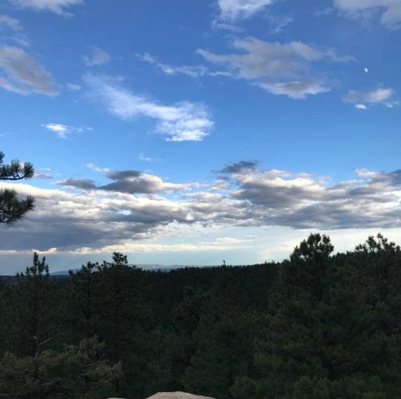 Meet your Posher, Rueben - Picture 1 of 1